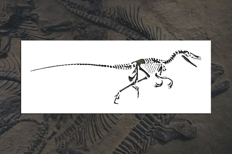 May include: Black and white line drawing of a dinosaur skeleton. The dinosaur is depicted in a running pose with its head held high. The skeleton is detailed and includes all of the major bones.