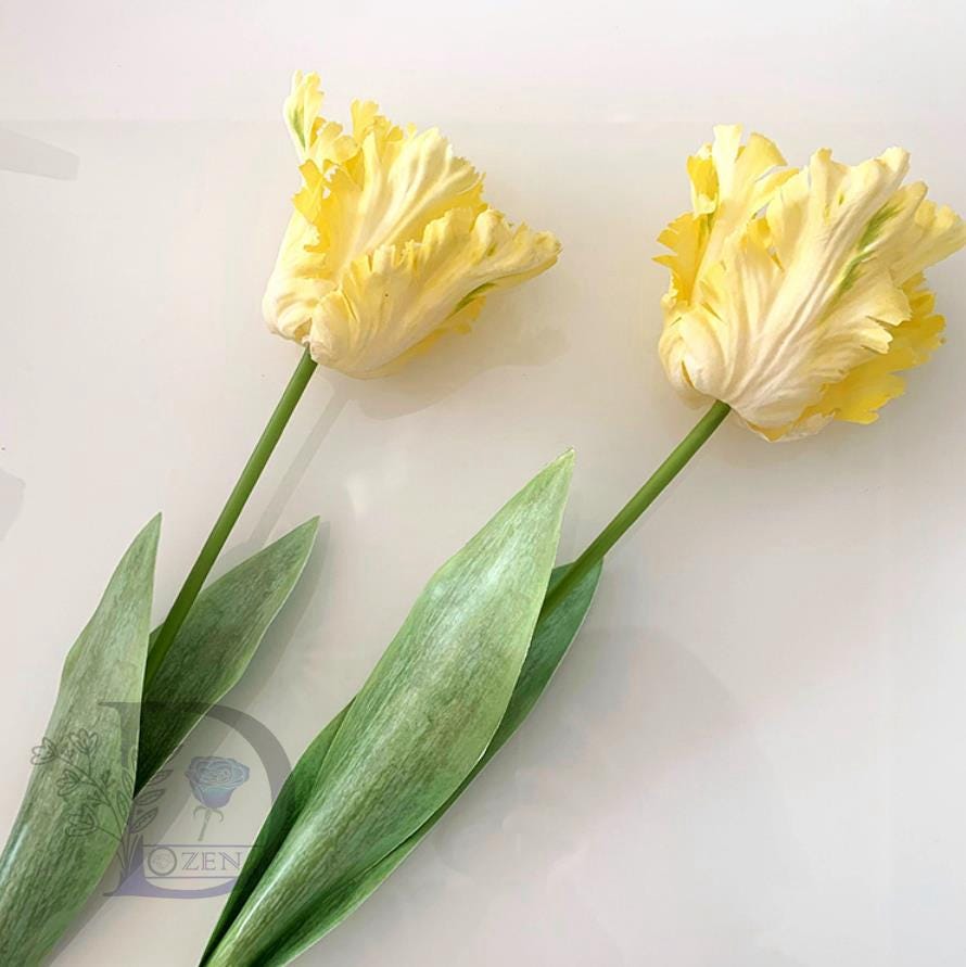 blumenkasten belavi Blumenkbel "Isabella"  Elegantes Blumenbeet fr moderne Auenrume