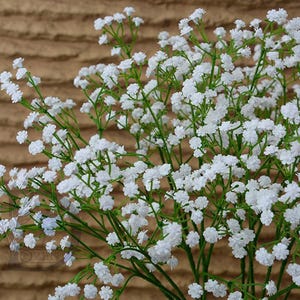 Puede incluir: Primer plano de un ramo de flores blancas de paniculata. Las delicadas y pequeñas flores blancas están agrupadas en finos tallos verdes. El fondo es una superficie marrón texturizada.