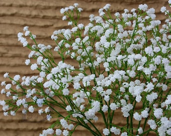 May include: Close-up of a bouquet of white baby's breath flowers. The delicate, small white blossoms are clustered together on thin, green stems. The background is a textured, brown surface.