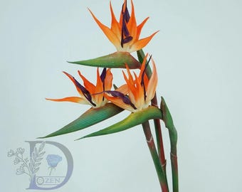 極楽鳥花（オレンジ） - Etsy 日本