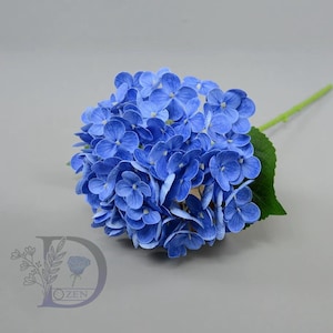 Puede incluir: Primer plano de una flor de hortensia azul, con numerosos pétalos pequeños. La flor tiene un tallo verde y una hoja. El fondo gris neutro resalta el color vibrante de la flor.