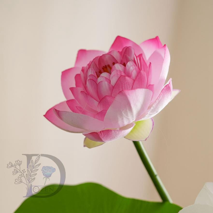 Knstlicher lotus - Etsy Schweiz