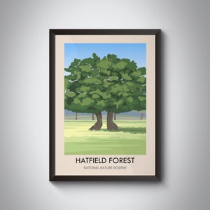 Plakat podróżniczy Hatfield Forest, Essex, Hertfordshire, Bishop's Stortford, National Trust, Epping Forest, wydruk podróżniczy w stylu vintage, dzieło sztuki retro