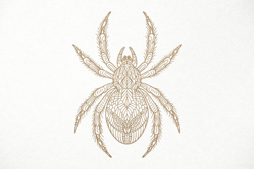 Spider Svg. Digital SVG PNG DXF Files for Cricut, Silhouette, Vinyl ...
