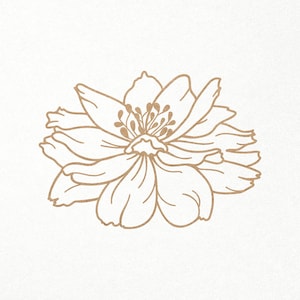 Marigold Svg. Anemone Flower Svg. Digital SVG PNG DXF files for vinyl/paper/plywood/laser cutting. Birthday/Wedding/Romantic/Floral/Spring