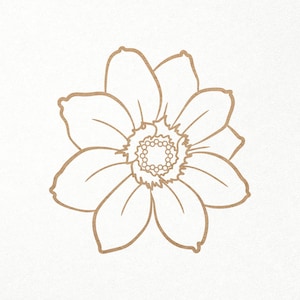 Peut inclure: Un dessin au trait d'une fleur brune à cinq pétales et un centre détaillé. La fleur est isolée sur un fond blanc.