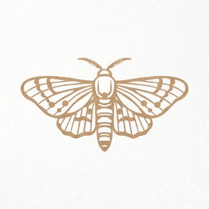 May include: A detailed line drawing of a brown moth with intricate wing patterns. The moth is centered on a white background.