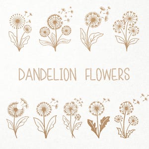 Dente di leone Svg. Pacchetto Svg di fiori di tarassaco. Digitale SVG PNG DXF per taglio vinile/carta/compensato/laser. Fiore di campo / Primavera / Boho / Floreale