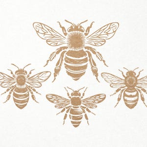 Honey Bee Svg-bundel. Bee SVG PNG DXF-bestanden voor Cricut silhouet snijden, graveren. Bijenkorf / Bijen / Hommel / Honingbij / Hommel