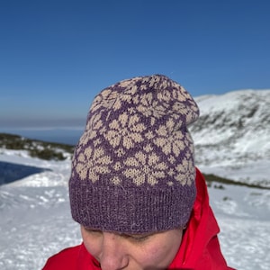 Nordic star beanie, Warm merino hat, Fair isle hat