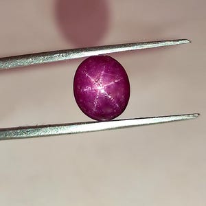 Puede incluir: Una piedra preciosa de rubí estrellado de color rojo intenso con una estrella de seis puntas en el centro, sostenida por unas pinzas.