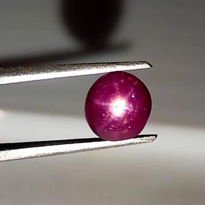 May include: A deep red star ruby gemstone with a six-rayed star in the center. The ruby is held in tweezers.
