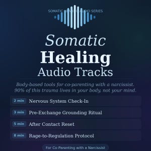May include: A dark blue graphic with the text "Somatic Healing Audio Tracks." The image includes a list of audio tracks with time durations: Nervous System Check-In, Pre-Exchange Grounding Ritual, After Contact Reset, and Rage-to-Regulation Protocol.