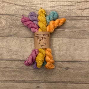 Peut inclure: Un ensemble d'écheveaux de fil colorés dans les tons de rose, violet, jaune, turquoise et orange. Le fil est maintenu ensemble par une bande de papier brun avec l'inscription "Lizzie Bird Yarns" et une illustration d'oiseau.