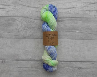 May include: A skein of yarn in shades of blue, green, and white. The yarn is wrapped around a brown label that reads "Lizzie Bird Yarns".