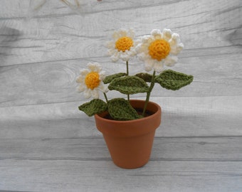 Crochet Daisy Pot - Häkelgarn Romantik Romantisch Danke Besonderes Hochzeit Gefälligkeiten Liebe Geschenk Neuheit Handgemacht Hell Bunt