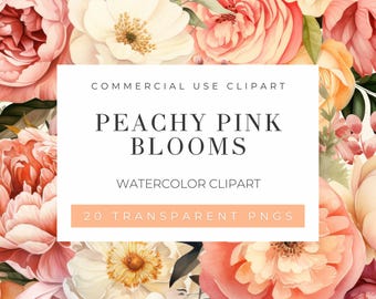 Clipart floral em aquarela com flores rosa pêssego