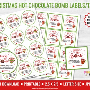 Hot Chocolate Bomb Printable Gift Tag Label Christmas Gift Tag Hot Cocoa Bomb-INSTANT DOWNLOAD