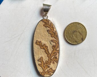 Colgante chapado en plata con piedra preciosa de drusa de psilomelano