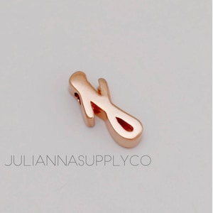 Oro Rosa Letras Iniciales J Charms Cursiva