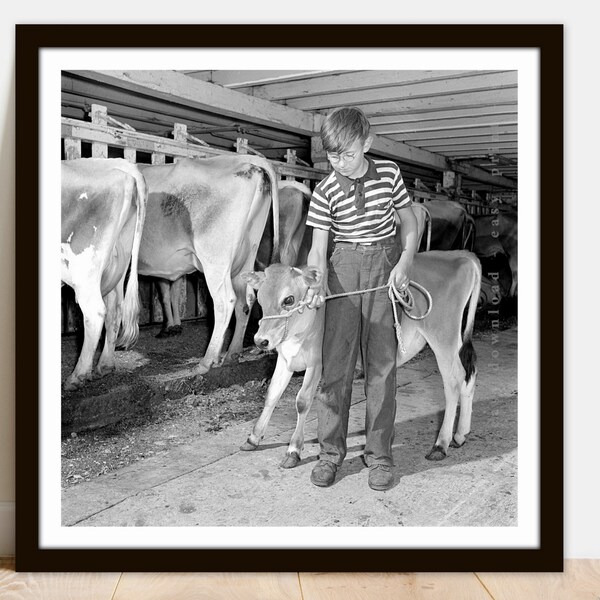 Vintage Farmlife Boy with Calf - Printable Vintage Photo Poster - Instant Download Easy Print JPG File for Collecting Printing Framing