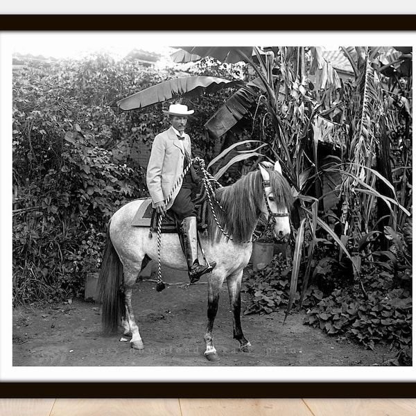 Elegant Horseman & Lush Vegetation - Printable Vintage Photo Poster - Instant Download Easy Print JPG File for Collecting Printing Framing