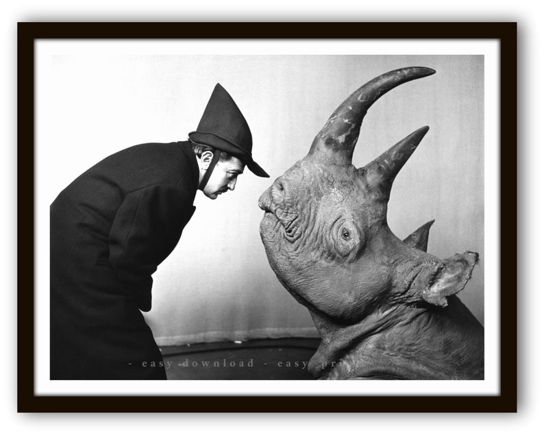 dali rhino dali rhino