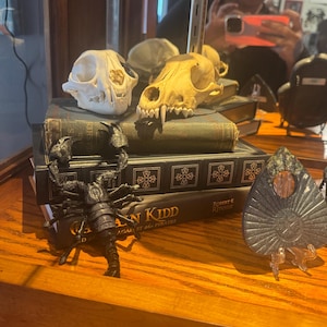 3d Scorpion Toy - posable