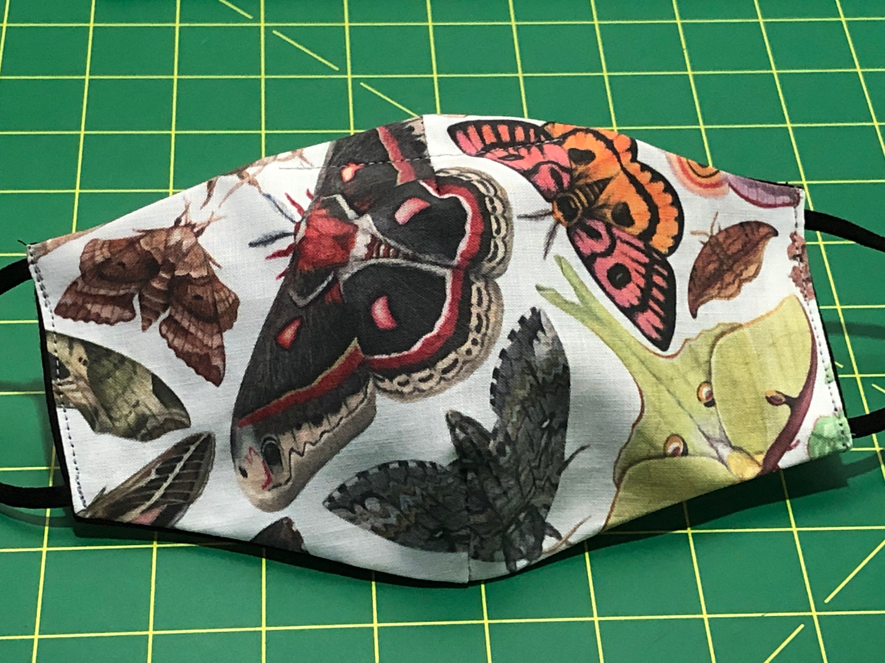 Real Moth Mask Etsy