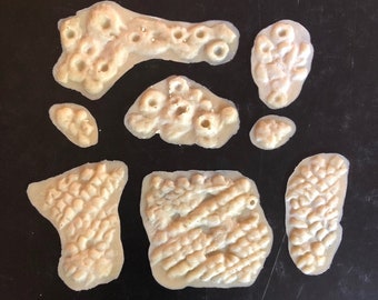 Slip Latex Wounds - Road Rash and Chemical Burns