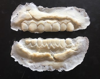 ZOMBIE ROTTED TEETH ROTTING DENTURES WALKING DEAD HALLOWEEN COSTUME ACCESSORY