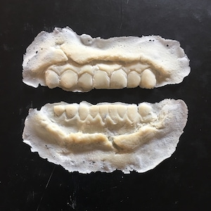 Slip Latex Wounds - Decaying Zombie Teeth