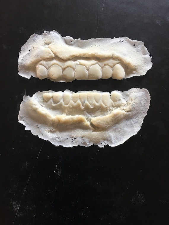 Dead Zombie Rotted Teeth 3 Pack Halloween Costume Accessories Prop Rotten Adult
