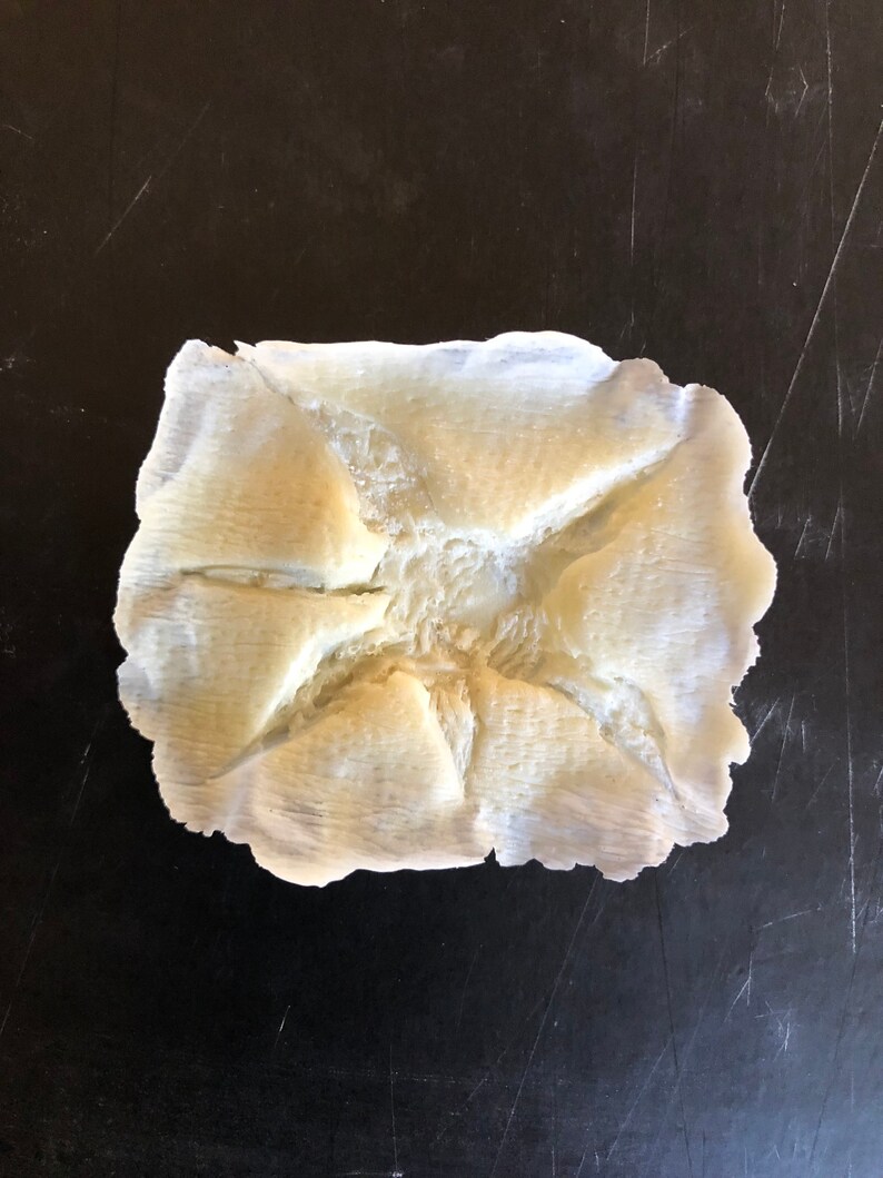 Slip Latex Wounds Bullet Holes entrance and Exit Wounds Etsy