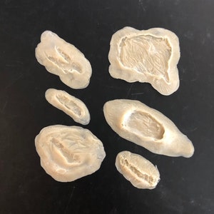 Slip Latex Wounds - Small Gouges and Gashes