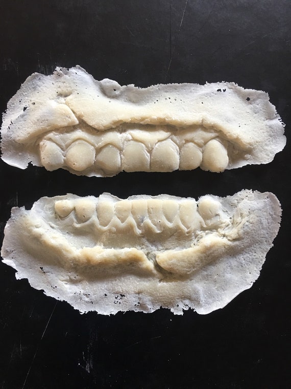 Zombie Teeth Mold - Prosthetic Transfer Material