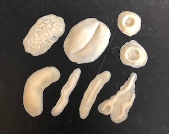 Slip Latex Wounds - Mixed Set
