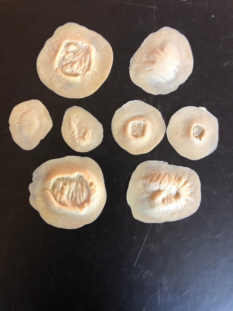 Slip Latex Wounds Fresh and Healed Bullet Holes Etsy