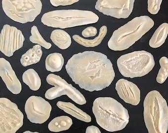 May include: A collection of various sized and shaped fake wounds, scars, and gashes made of a flesh-toned material. These are great for Halloween costumes, special effects makeup, and theatrical productions.