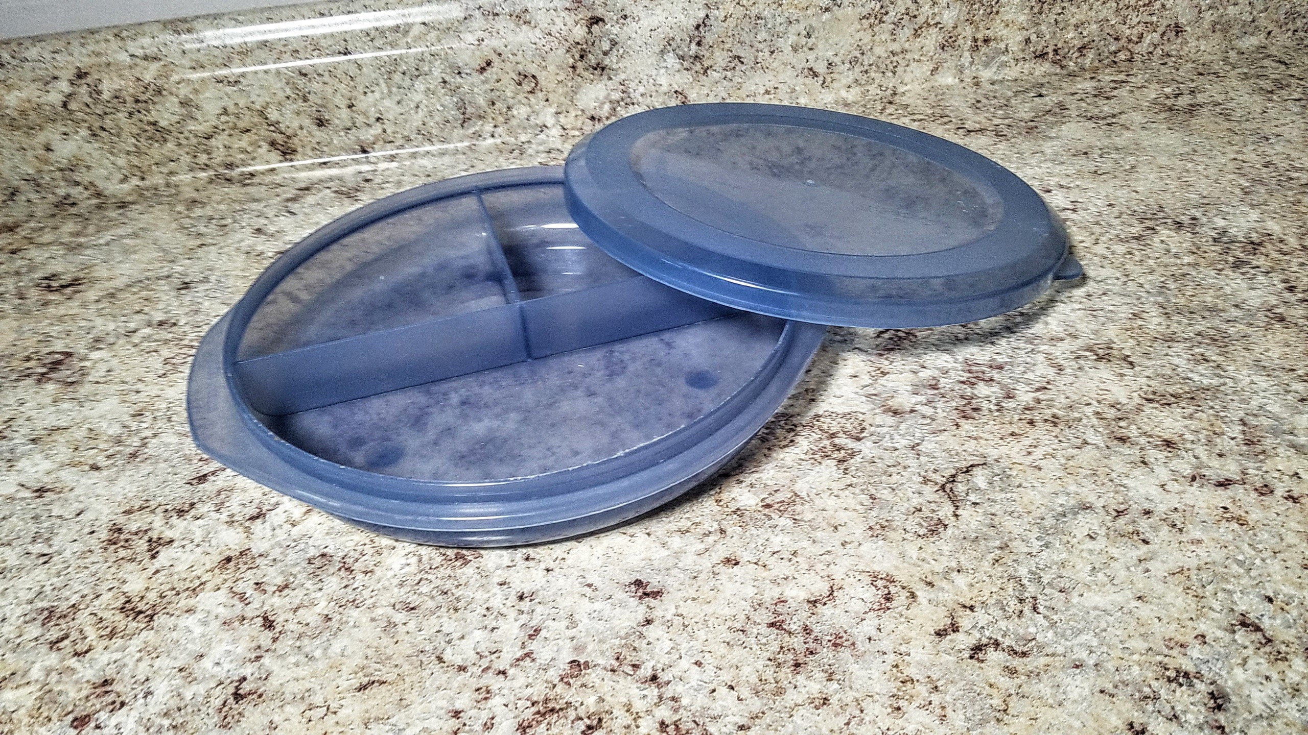 High Sided Divided Plate with Lid : large dish with 3 sections