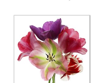 Photo paper luster, HP printers 8.5 in x 11 in (50 Sheet)