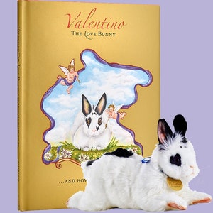 Valentino The Love Bunny Book & Plush Toy Gift Set