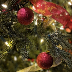 Red Gold Holiday Christmas Ornament Balls Tree Stock Photo - DIGITAL FILE DOWNLOAD