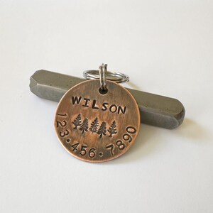 Custom Dog Tag, Large Personalized Pet Name Tags, Pet Accessories