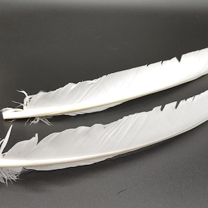 May include: Two white feathers with a natural quill, lying on a black surface.