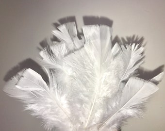 1 lb. Turkey Body Wholesale - White Turkey T-Base Plumage Feathers