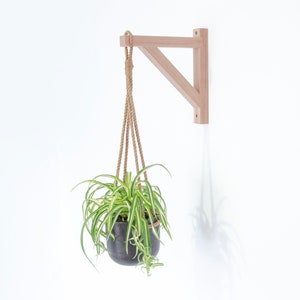 May include: A wooden wall-mounted plant hanger with a hanging plant in a black pot. The plant has long, green leaves with yellow stripes.
