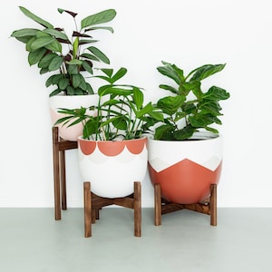 May include: Three decorative plant pots with various green plants. The pots are white with geometric designs in pink, gray, and terracotta. Each pot sits on a dark brown wooden stand, adding height and visual interest to the display.