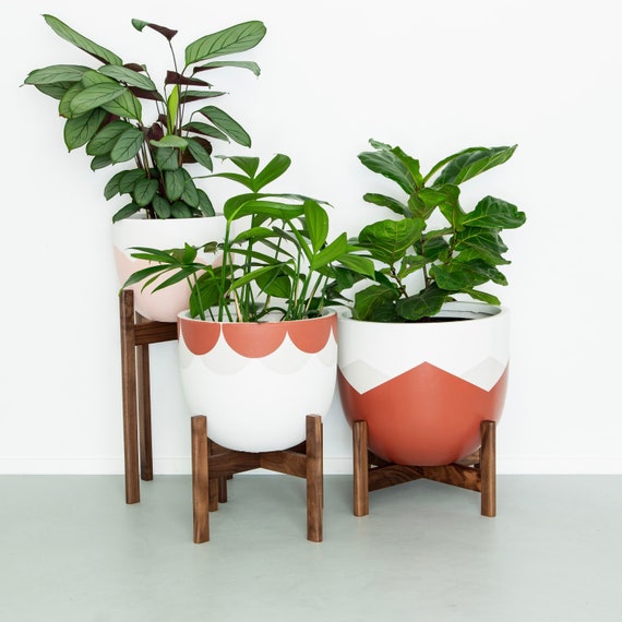Plant Stands in Walnut Timber Plant Stands Modern Plant Stand